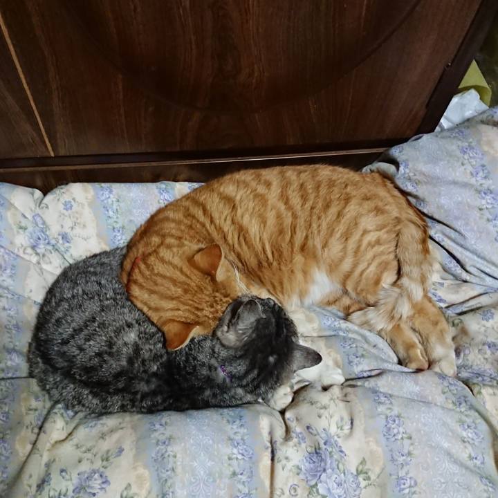 1bff9f38 8e8a 426d bfa1 d12774b69818 1578833377314