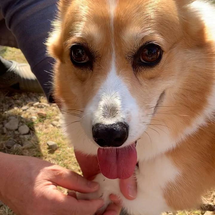 1bffa1b3 2bc3 4fad bd31 9ff6c33631d0 1637376148934