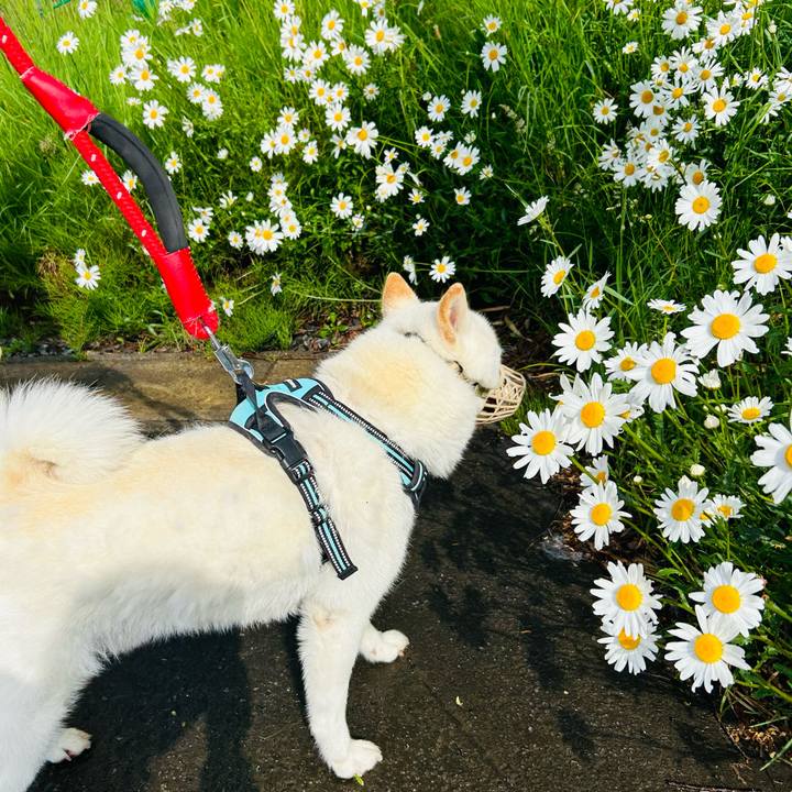 1bffc94f 349b 46bf ba2f d36eb011e49f 1685832860598