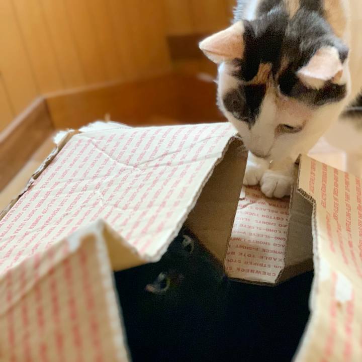 1bfff420 5f7f 41a7 9f1b c6df4b5c93e6 1539916537159