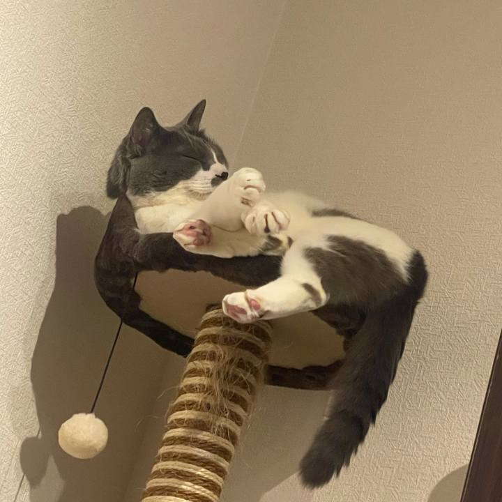 1c001868 8129 4f4a 9a00 3431a71576ce 1713191243622