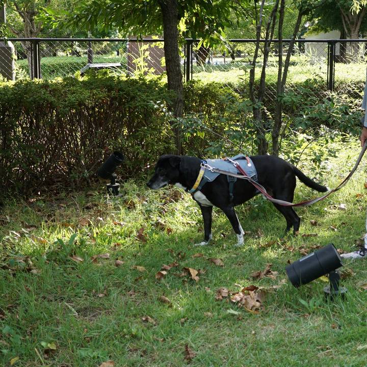 1c001d3b f42f 4343 8c7f f2c265db0341 1760834968704