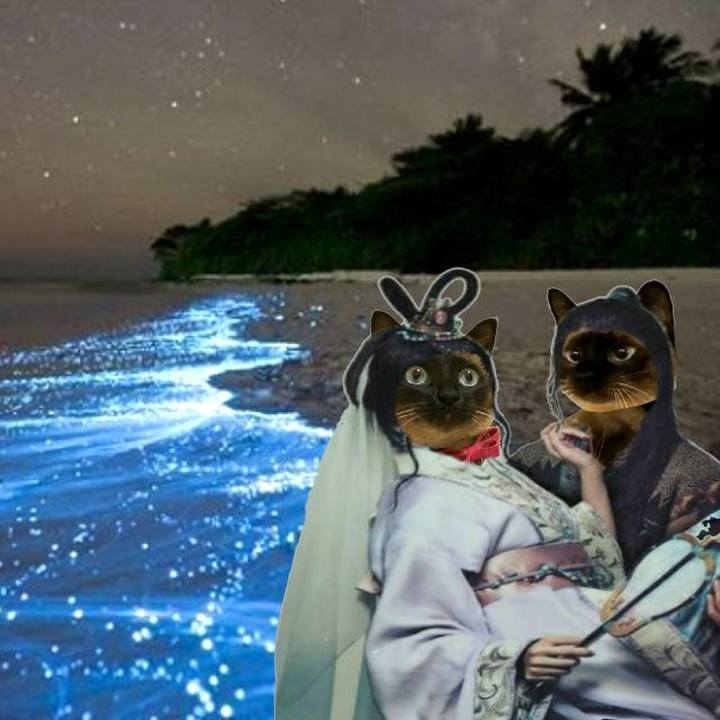 1c002736 69b9 4522 8229 21f5b503d4c3 1556928066103