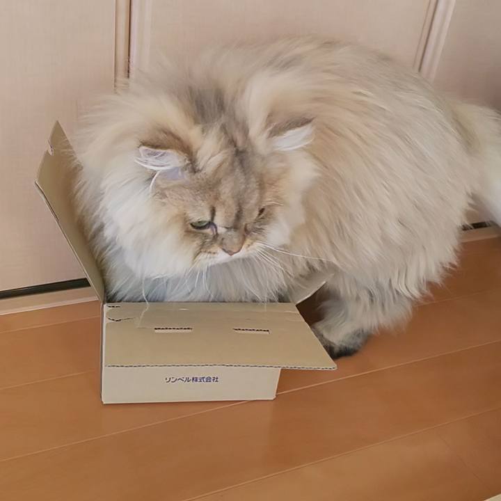 1c00e5a5 a154 4333 8e79 891e4cdabf8d 1582172272881