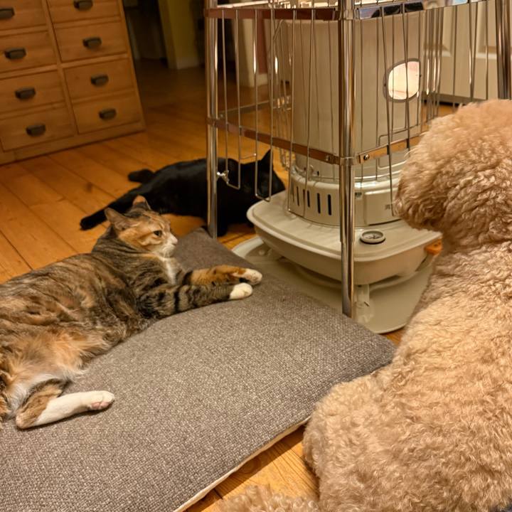 1c00e95e 0554 4d3e 9d55 ceb277f4f5ca 1772963255931