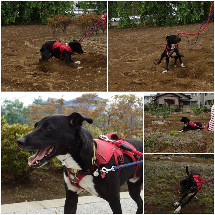 1c01348f c5ca 4ccf ac23 39f68f2d1127 1589762977996