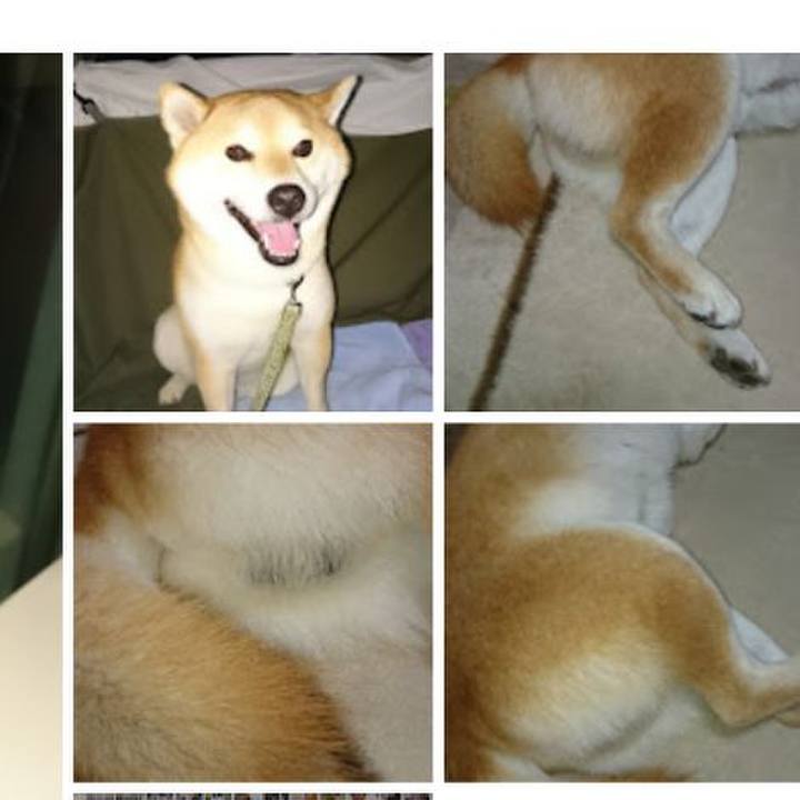 1c0147aa 8eb0 4578 92a0 f09c93e8e492 1765974794993