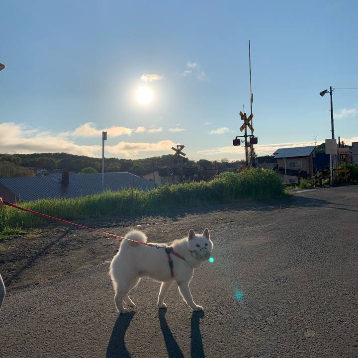 1c017192 8be6 4188 b3d3 b855da19bdc1 1590439770239