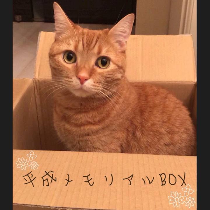 1c01c4d9 0cdd 4b15 b4ad 7d6c204c393f 1556626402101