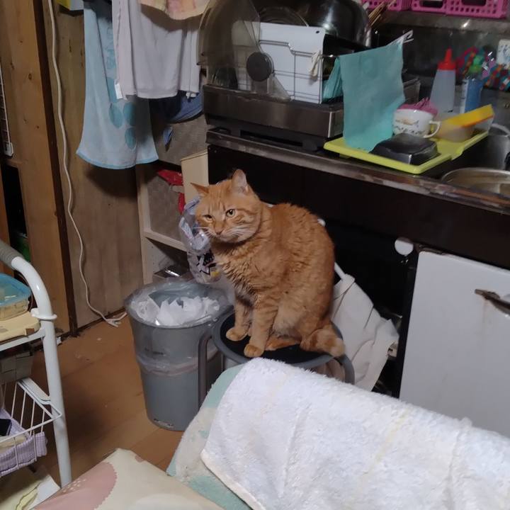 1c01cbcf 173b 4975 a262 671d4b06c5fa 1703799385247