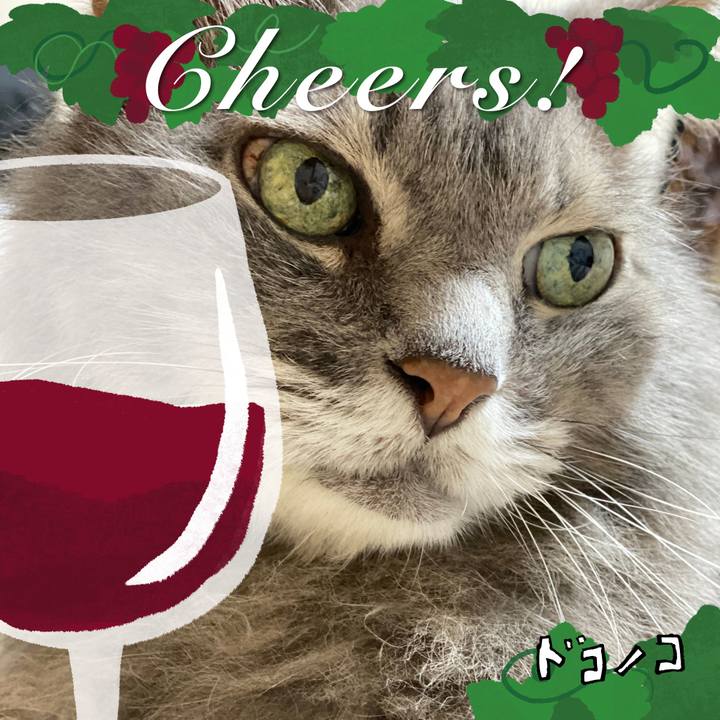 1c01f420 18f7 4a55 81ca 2a90a07fa6b9 1761158369559