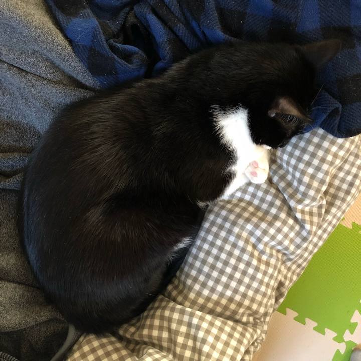 1c01f54b ad4e 4688 9fb5 00dd195406c9 1547648611167