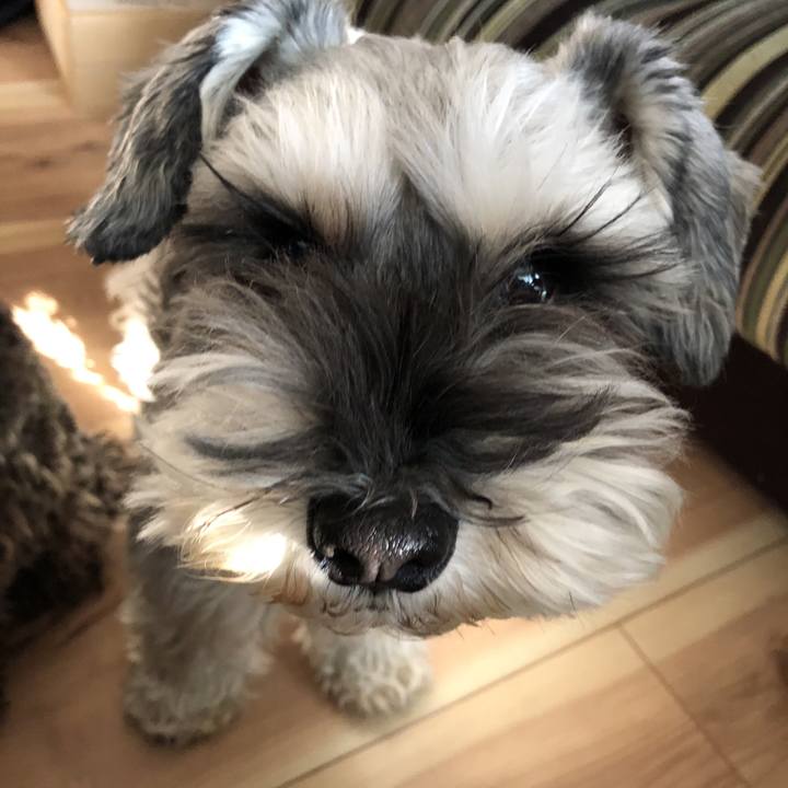 1c01fa83 538d 41c2 ac5a db2b1da5d67f 1577491430834