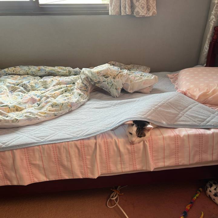 1c025755 5003 4399 878c 425aa90c3397 1660615905102