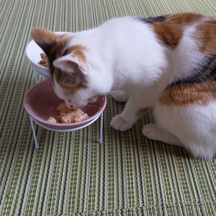 1c026d37 fa31 449f 9f49 5ae470f0153c 1650332062050