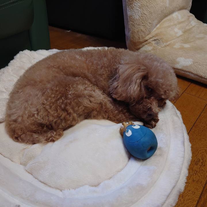 1c028938 6ece 4635 8281 c90039a28459 1713050459402