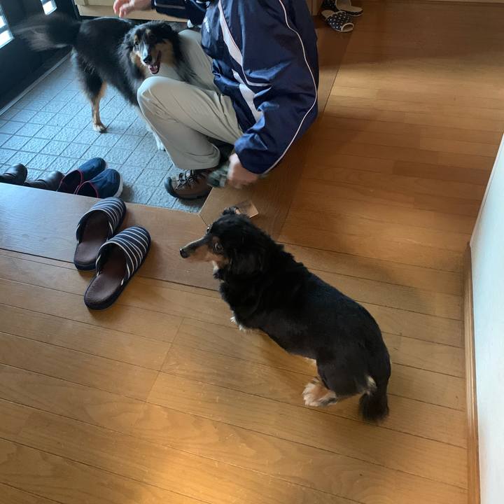 1c02de71 505f 4f5f 9123 2da52b5ed2be 1606773915655