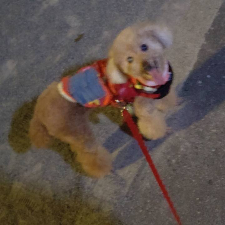 1c03172d f5af 4921 b28e 22cb11bb783c 1661297516442