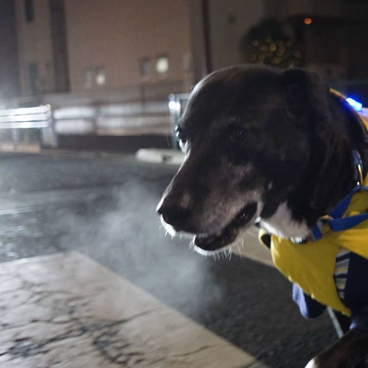 1c031a07 6b36 4520 8a1e b2876b204175 1767350366306