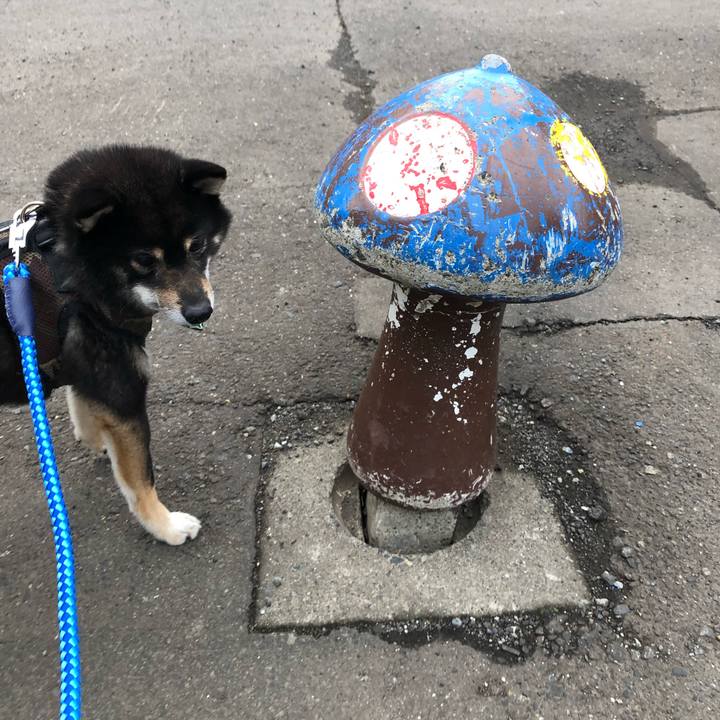 1c034598 b82d 4472 967d 29bf5cb2f21b 1524889997444