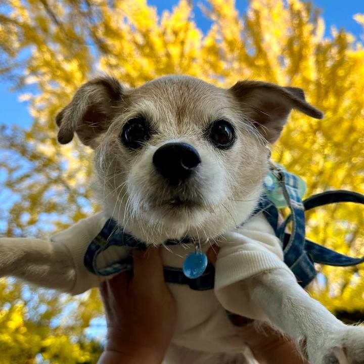 1c035852 9a83 4b50 85e2 68fa60b4318c 1762761749527