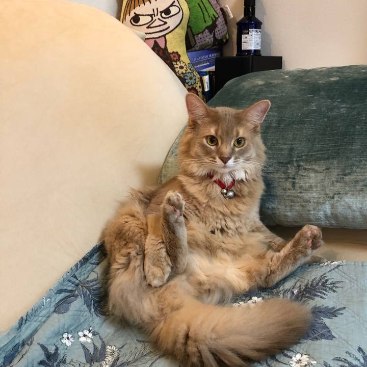 1c0375eb fd33 46a4 9ae2 3018989262f6 1600496527382