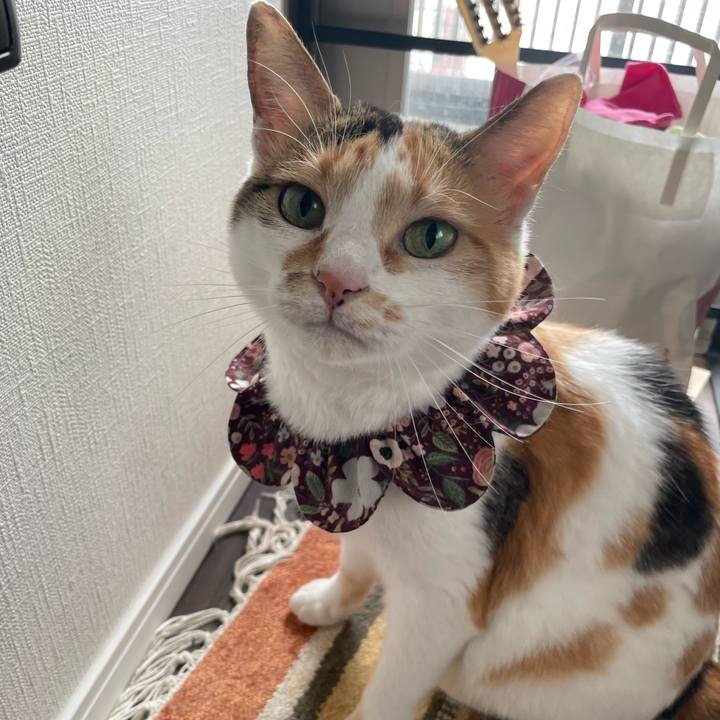 1c038734 7747 439c 99f9 be9a0293cbed 1750808227753