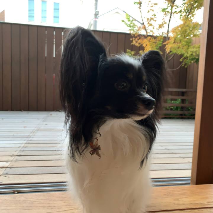 1c03a576 6beb 4c1a 9e01 7d5e730fd9b2 1542321944366