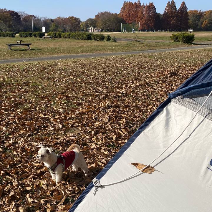 1c03b76f a4da 4b8a 9871 24f2daa2a7db 1764595066383