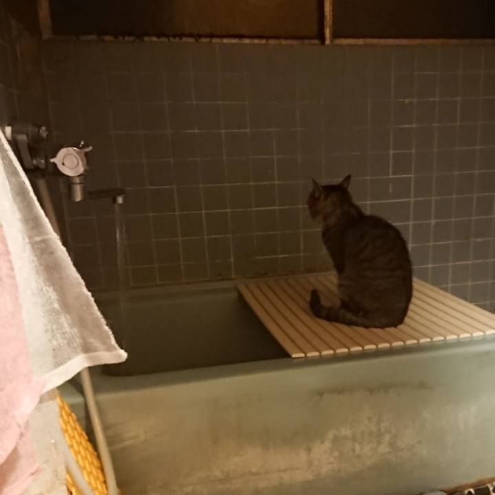 1c03c636 0ac1 469c a94d 2e51d9f507c2 1581587580287