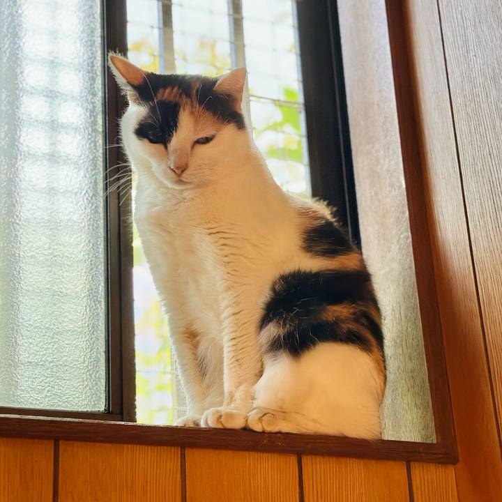 1c03d432 0107 47d7 b5b9 bfb689c09856 1729042710309