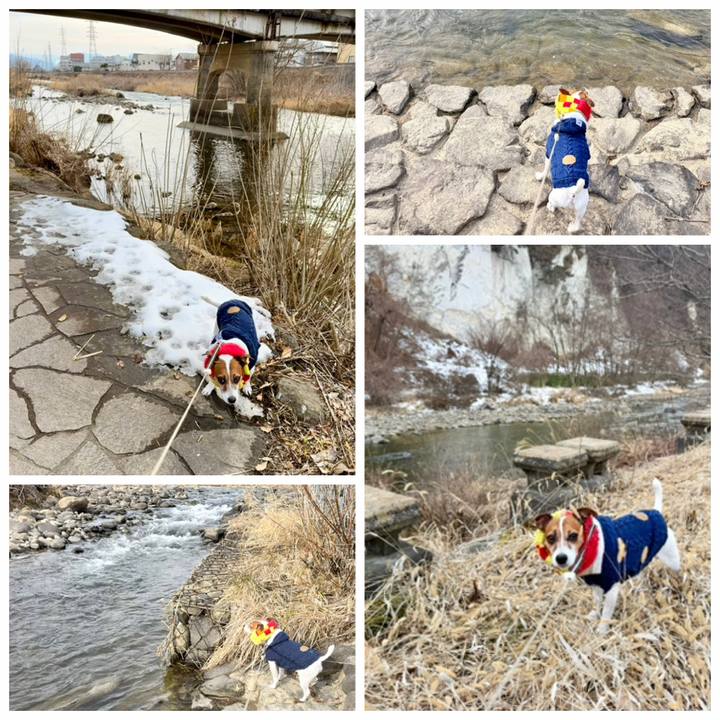 1c04107f 4fcd 4d2b 8a22 71fdf2ce06c3 1771117658487