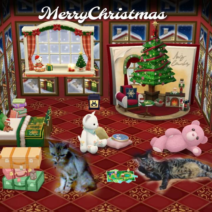 1c041558 1668 4588 8b17 48790279e111 1766576371931