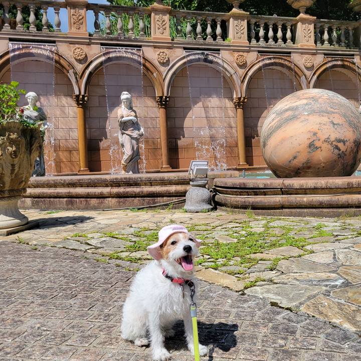 1c0422c1 8b0e 4f53 91b9 db980eca4e77 1723093129305