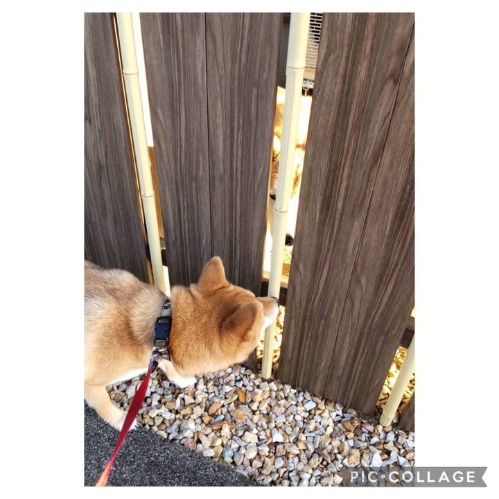 1c043574 68ad 495d 86d6 85d37bed2b82 1676077344710