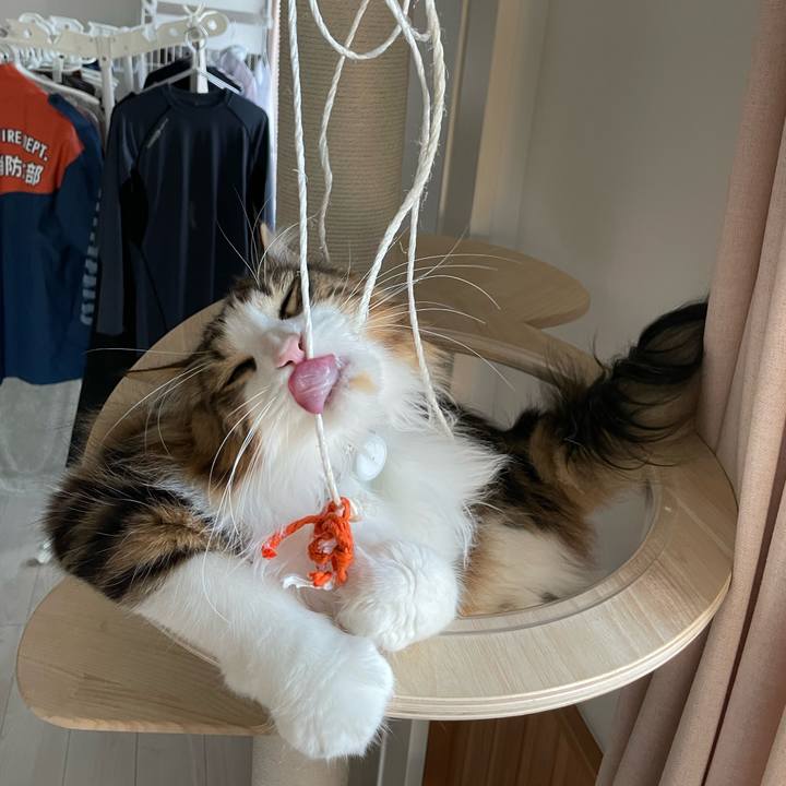 1c043f15 9f5e 467a 87e9 3655f33a1373 1653854315331