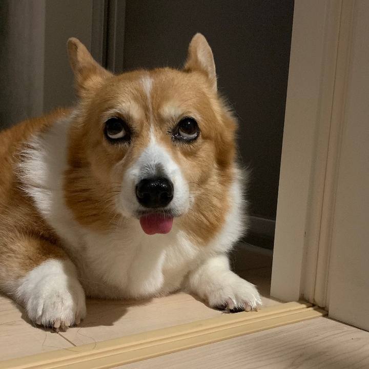 1c04c75e 275a 46a4 bb04 109f18b67889 1697420683644