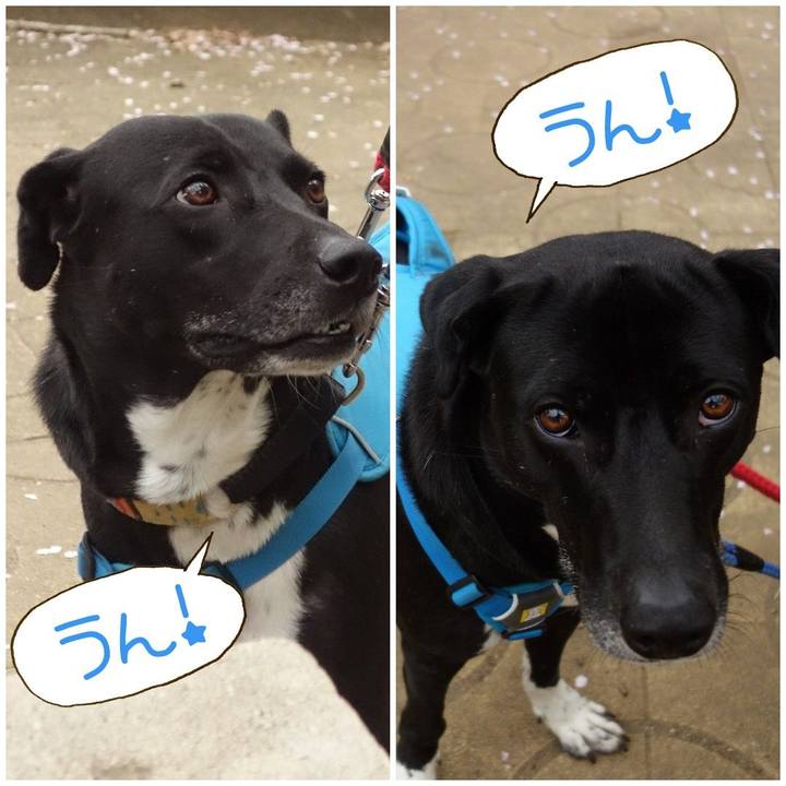 1c04e03f f2a8 4f36 bb33 0ece9d7c7cb4 1617324361869