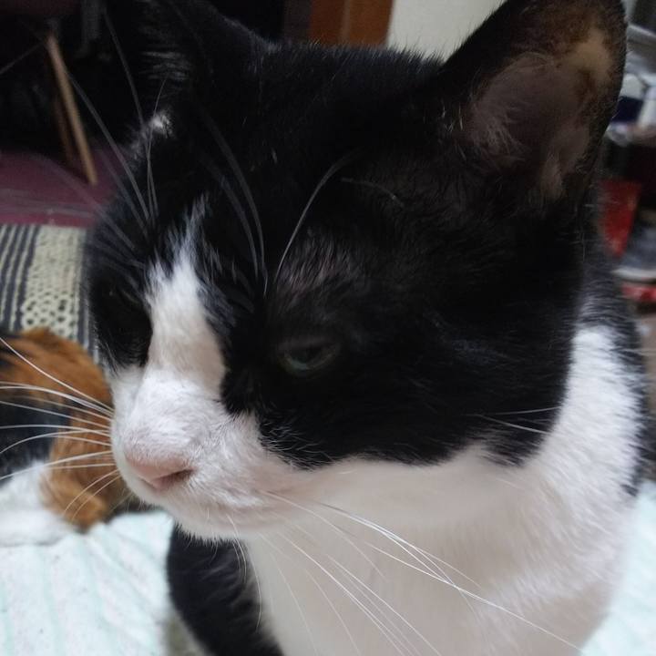 1c050515 f5d8 4e5f 9b77 ad6bc794cdbd 1558388887777