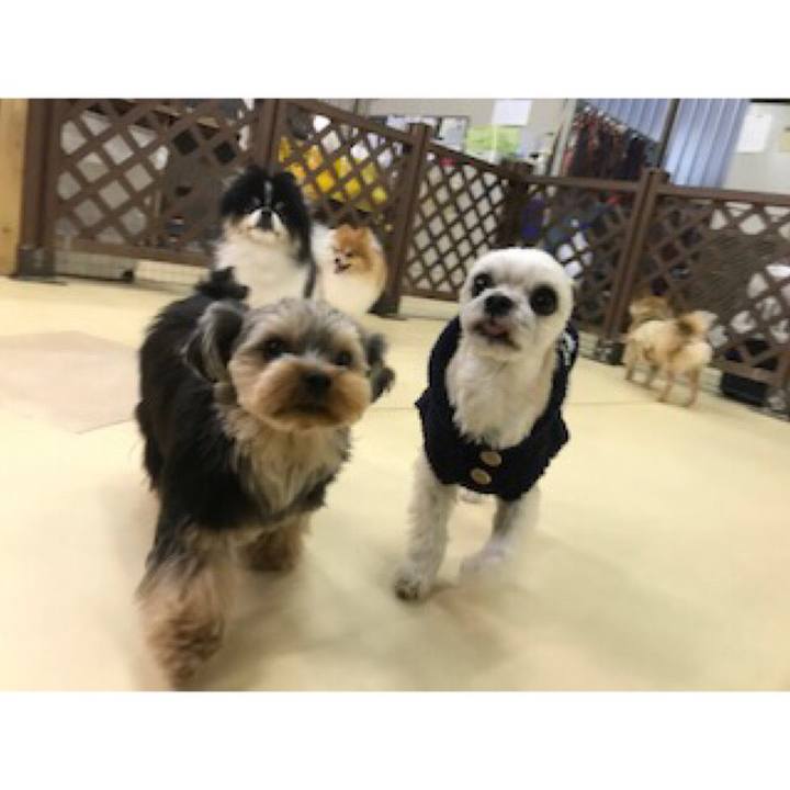 1c056ee1 679d 4767 adc3 a3e14a627071 1547549700358