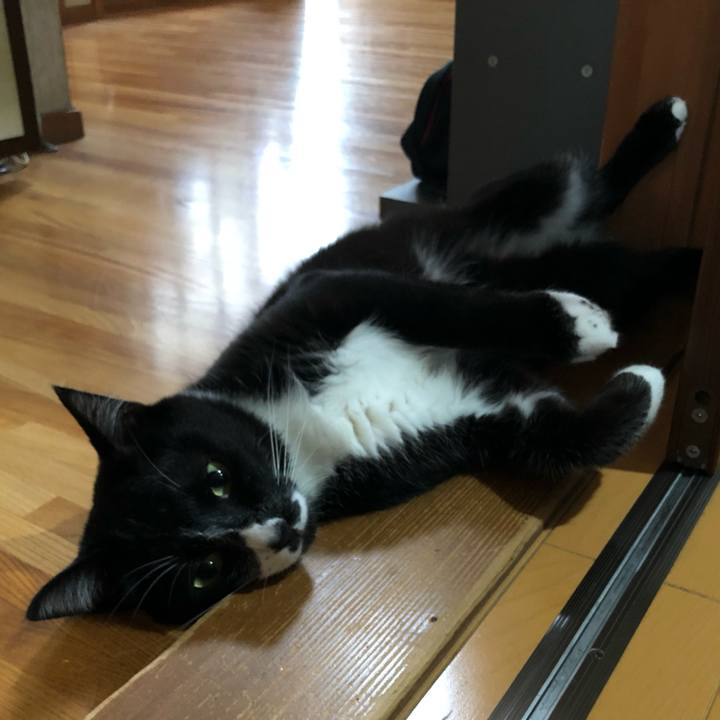 1c0572ce b51b 4e08 a9bc a9e90f4e1e57 1567744325186