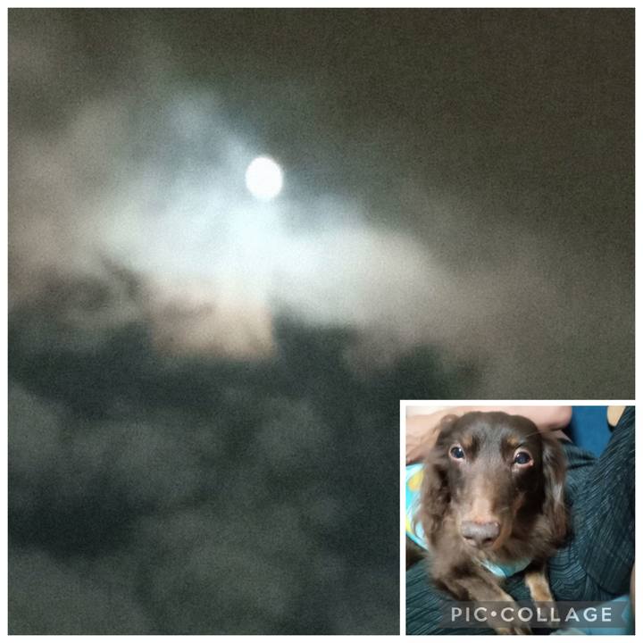 1c057547 9772 4ea1 9bdc 126d2f696aae 1759786520996