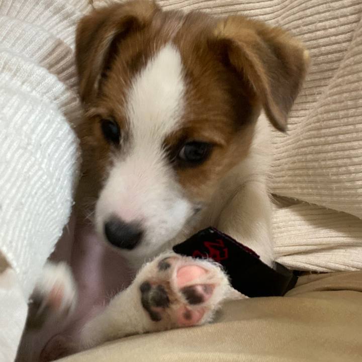 1c059e5a e6bb 4934 9a7b aa634cb599f3 1611012814277