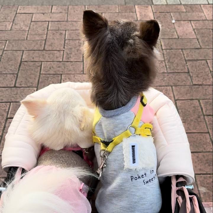 1c059f04 13ae 4454 873f 96c2b4739350 1700370345464