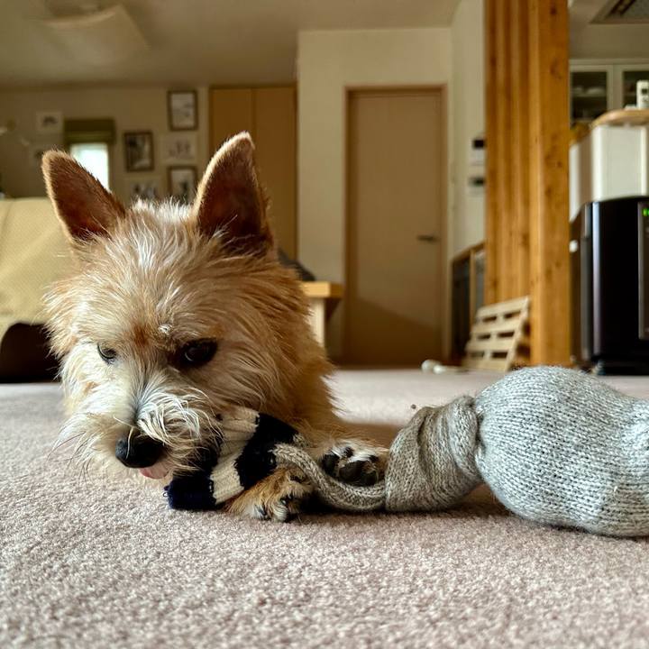 1c05a01b 3cae 4af6 987d 6d06f02f1c7a 1712412928730