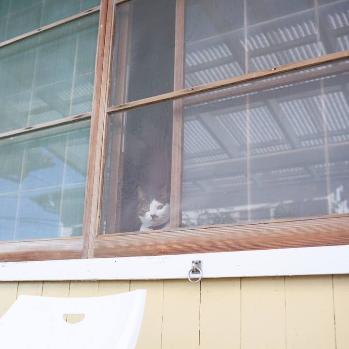 1c05b6d8 ae40 4ef3 9a16 4b8b8d9b7564 1548069967150