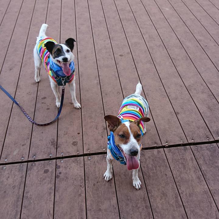 1c05ca0d d072 4dbb 91da 6477e21971a7 1597888781933