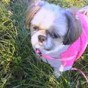 1c05de3b 0e13 4abd bedf 3262c10da00d 1543736656749