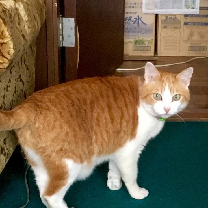 1c05dee8 f696 4395 aeed 67858ca35eda 1556142310819