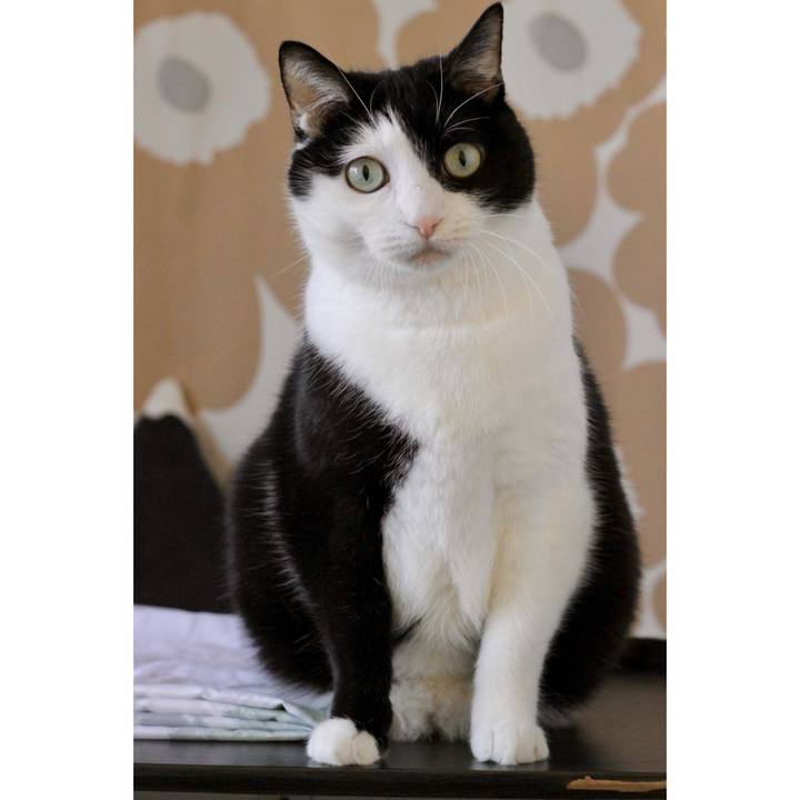 1c0603db 89bd 480d b8fa 08de8aca1c20 1672184494717